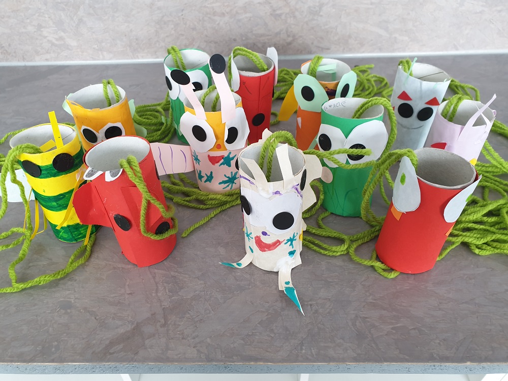 Laboratorio insetti Insect lab