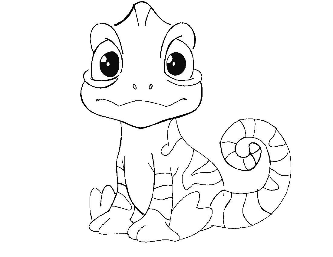 Disegno camaleonte da colorare | Bimbi Creativi