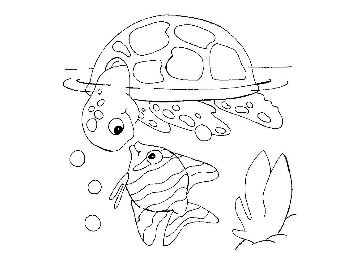Disegno tartaruga | Bimbi Creativi